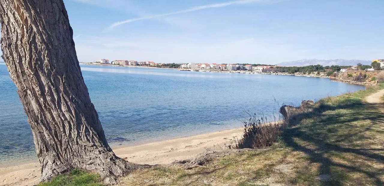 Apartman Lovren Povljana Apartment